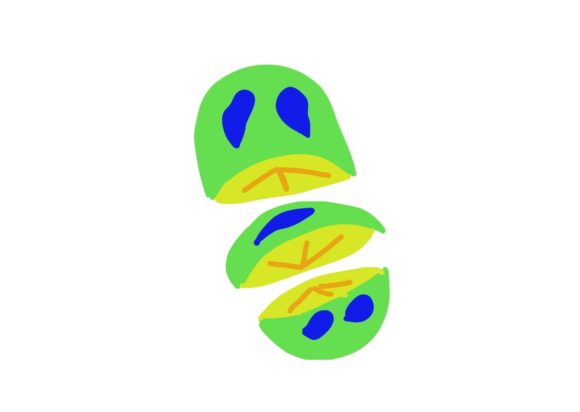 Download Green Yellow Fruit Graphic/illustration - Fruit graphic Collection