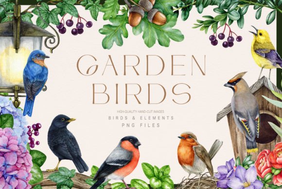 Download Garden Birds Watercolor Illustration Set - Birds Collection